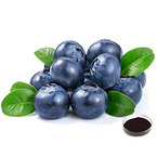 Blueberry Extract