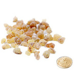 Boswellia Serrata Extract