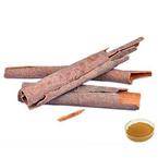 Cinnamon Bark Extract