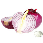 Onion Extract