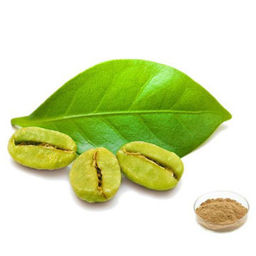 Green Coffee Bean Extract