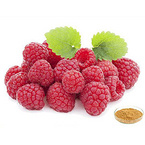 Raspberry Ketone