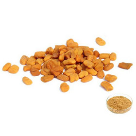 Fenugreek Extract