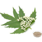 Valerian Extract