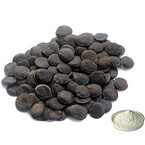 Griffonia Seed Extract