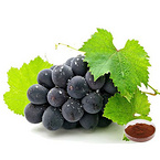 Grape Seed Extract