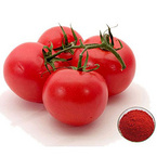 Lycopene