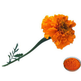 Marigold Extract