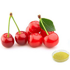 Acerola Cherry Extract