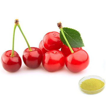 Acerola Cherry Extract