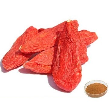 Goji Berry Powder