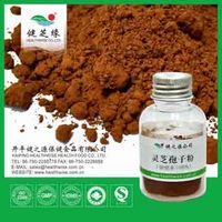 Shell-broken Ganoderma Lucidum Spore Powder