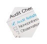 Audit