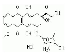 doxorubicin Hydrochloride