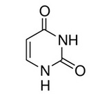 Uracil