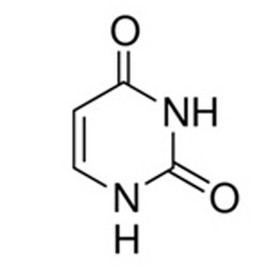 Uracil