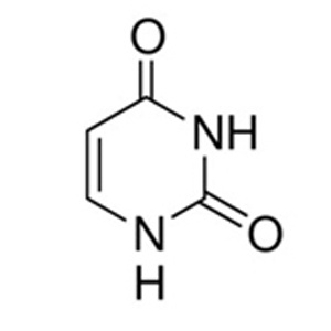 Uracil