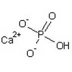 Dicalcium Phosphate