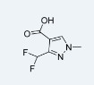 4-Carboxy-3-difluoromethyl-0-methylpyrazole