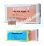 Ampicillin Sodium Powder for Injection