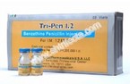 Benzathine Penicillin (Benzathine Benzylpenicillin) Powder for Injection