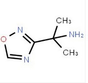 2-(1,2,4-oxadiazol-3-yl)propan-2-amine