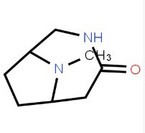 9-methyl-3,9-diazabicyclo[4.2.1]nonan-4-one