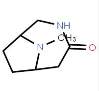 9-methyl-3,9-diazabicyclo[4.2.1]nonan-4-one