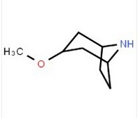 (1R,3r,5S)-3-methoxy-8-azabicyclo[3.2.1]octane