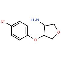 (3S,4S)-4-(4-bromophenoxy)tetrahydrofuran-3-amine