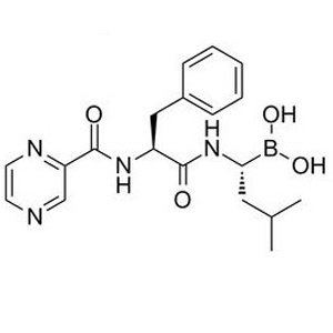 Bortezomib