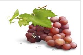 Grape Skin Extract 30% Proanthocyanidin; 30% Polyphenols