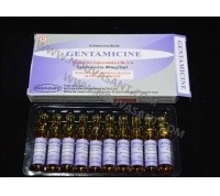 Gentamicin Injection