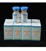 Hydrocortisone Sodium Succinate