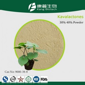 kava kava root extract