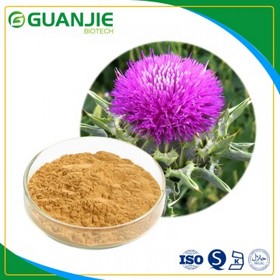 Milk Thistle Extract 80% Silymarin