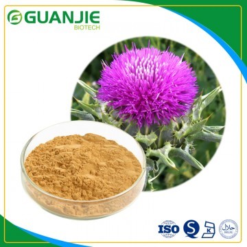 Milk Thistle Extract 80% Silymarin