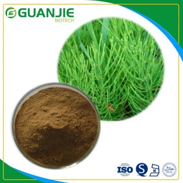 Horsetail extract Silica acid