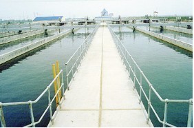 Heavy metal wastewater treatment special resin
