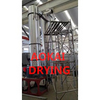 XSG Series Spin Flash Dryer