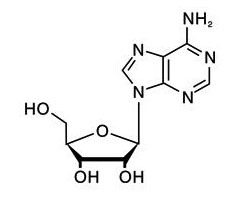  Adenosine