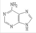  Adenine