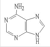  Adenine