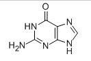  Guanine