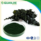 Spirulina Powder