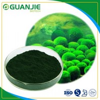 Chlorella Powder 