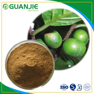 Pygeum Africanum Extract