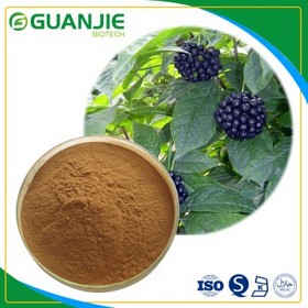 Siberian ginseng extract