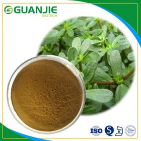 Bacopa monnieri extract