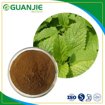 Melissa officinalis extract